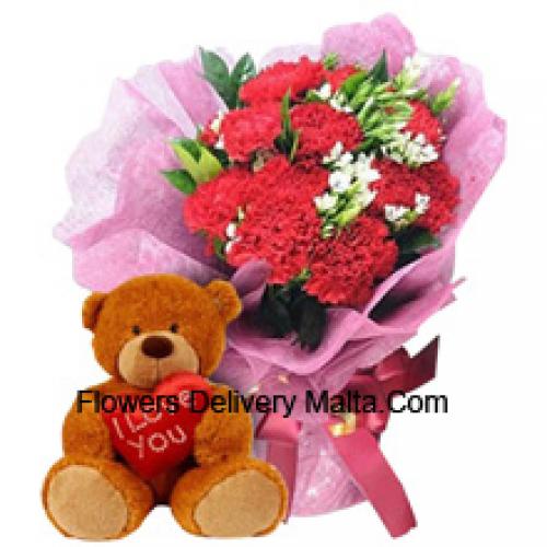 11 Carnations with Cute 12 Inch Teddy