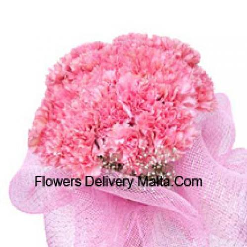 Cute 25 Pink Carnations