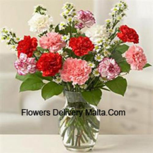 Cute 11 Mixed Carnations