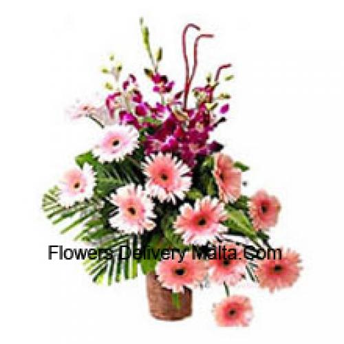 Sensational Gerberas with Orchids