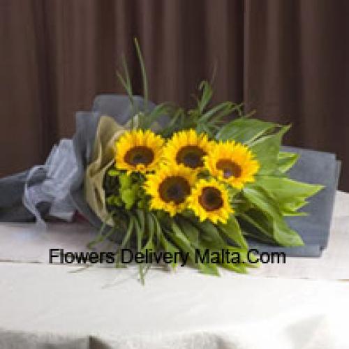 Handpicked Sunflowers Bunch