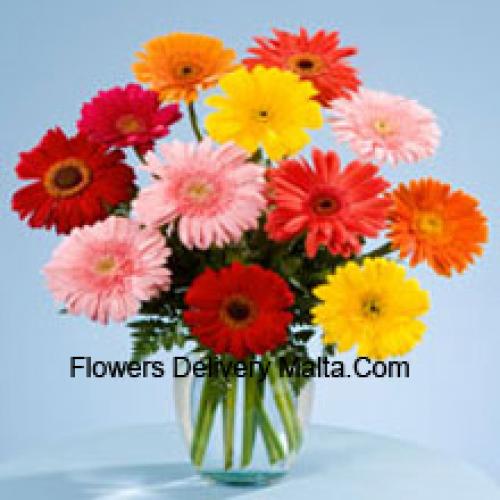 11 Sweet Mixed Gerberas