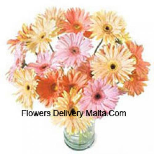 25 Fancy Assorted Gerberas