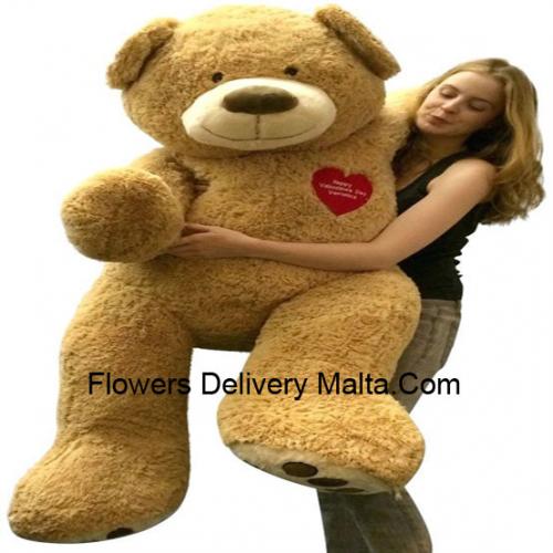 5 Feet Cute Brown Teddy