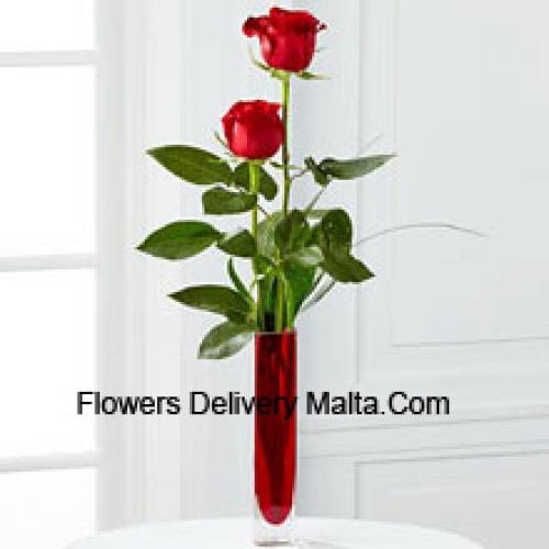 2 Sweet Red Roses in Vase